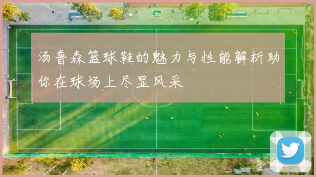 汤普森篮球鞋的魅力与性能解析助你在球场上尽显风采