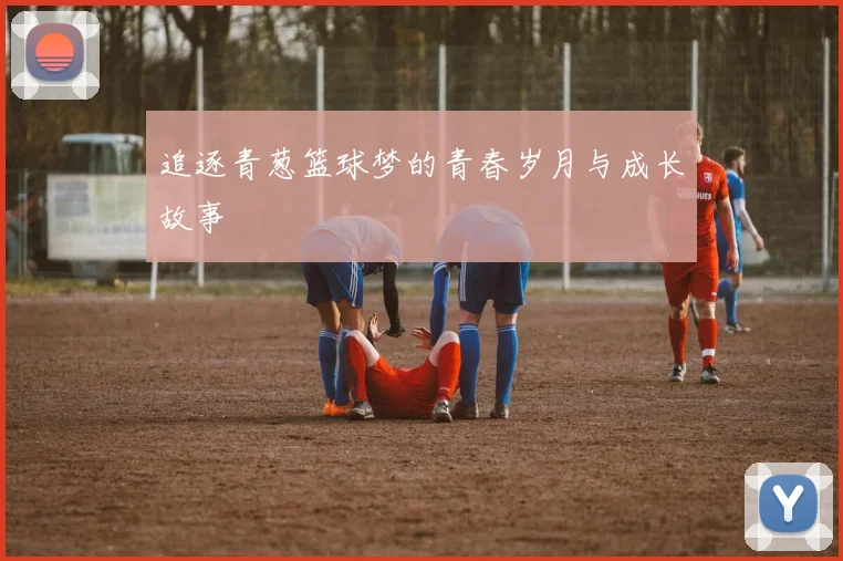 追逐青葱篮球梦的青春岁月与成长故事